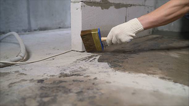 SJ Waterproofing Pros Waterproofing coverage map for Geneseo, NY and surrounding area